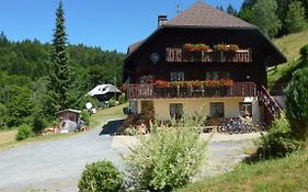 Haus Biehler