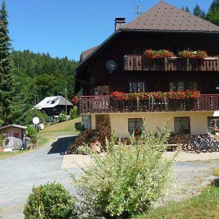 Haus Biehler Appartement Todtmoos Buitenkant foto