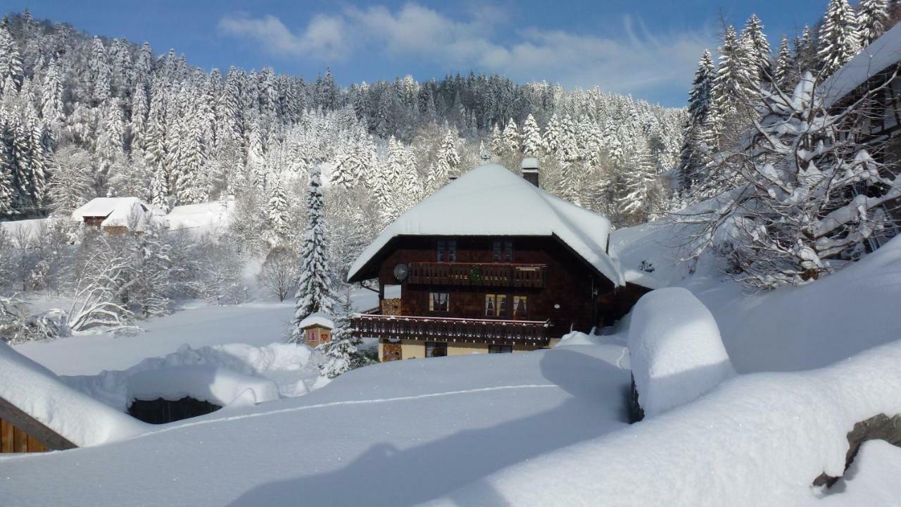 Haus Biehler Appartement Todtmoos Buitenkant foto