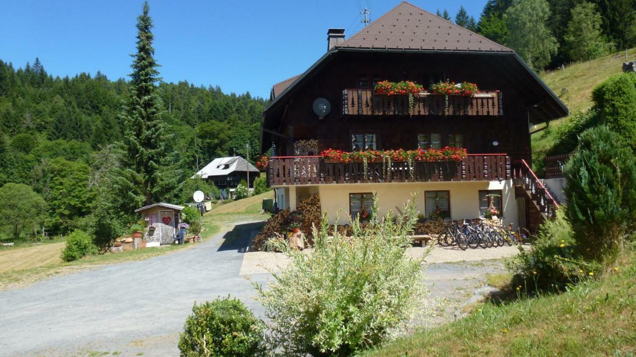 Haus Biehler Appartement Todtmoos Buitenkant foto
